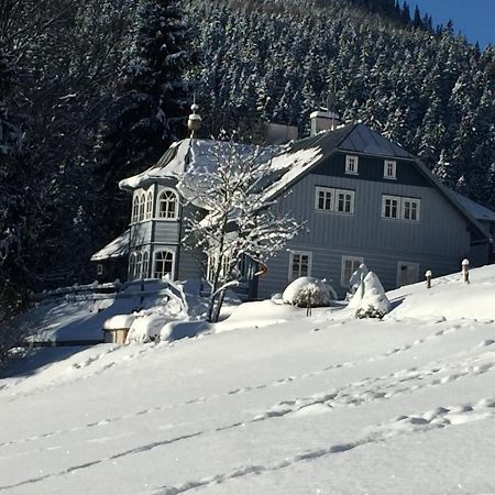 Penzion Modry Pavilon Dolní Malá Úpa 외부 사진